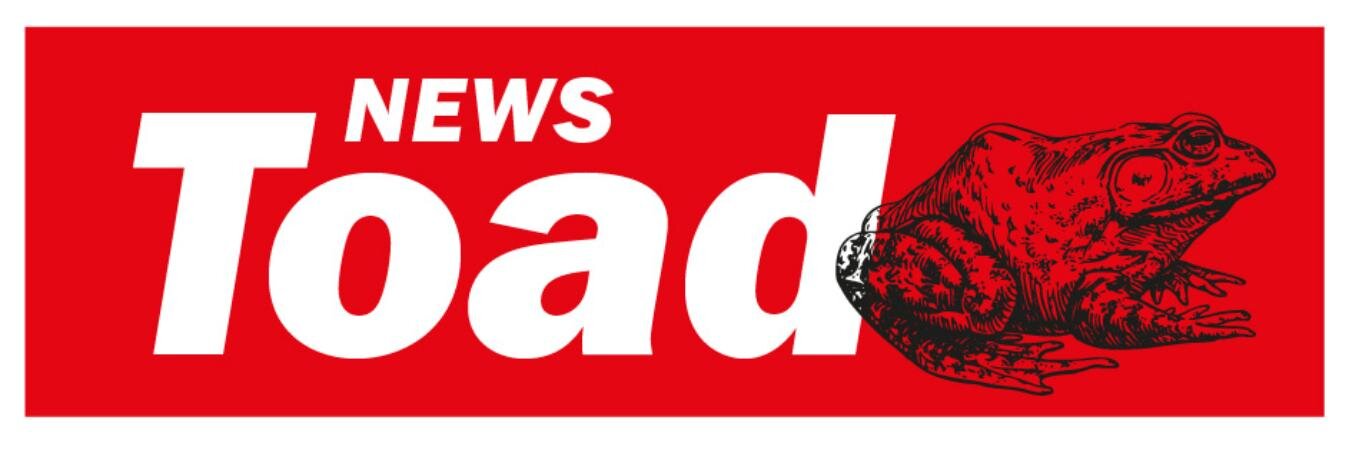 NewsToad's profile banner image