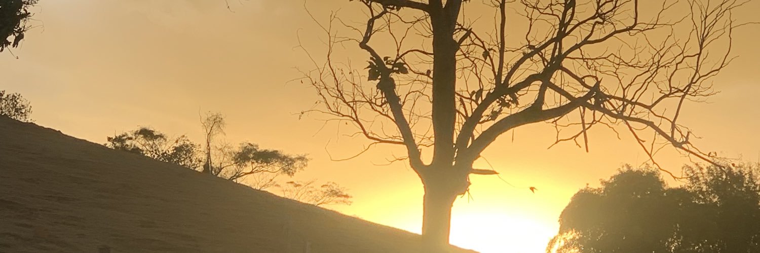 matheusrooque's profile banner image
