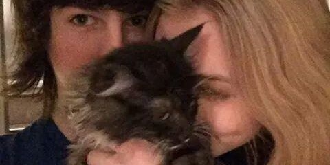 InvalidFear's profile banner image