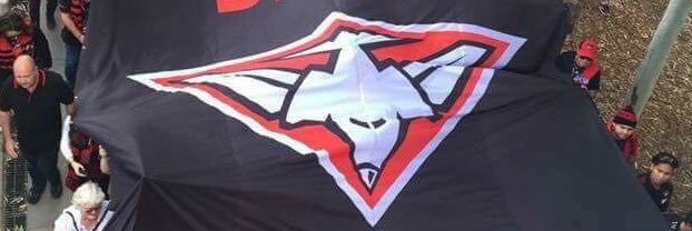 gailmcc41's profile banner image
