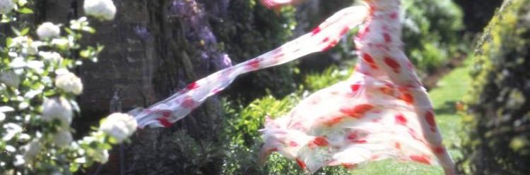bubblebuttbtm0's profile banner image