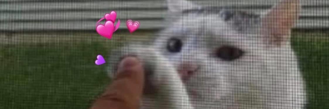 audsadaoh's profile banner image