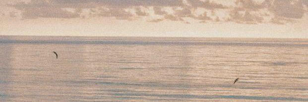 ocostareis_'s profile banner image