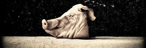 HogFatherUDS's profile banner image