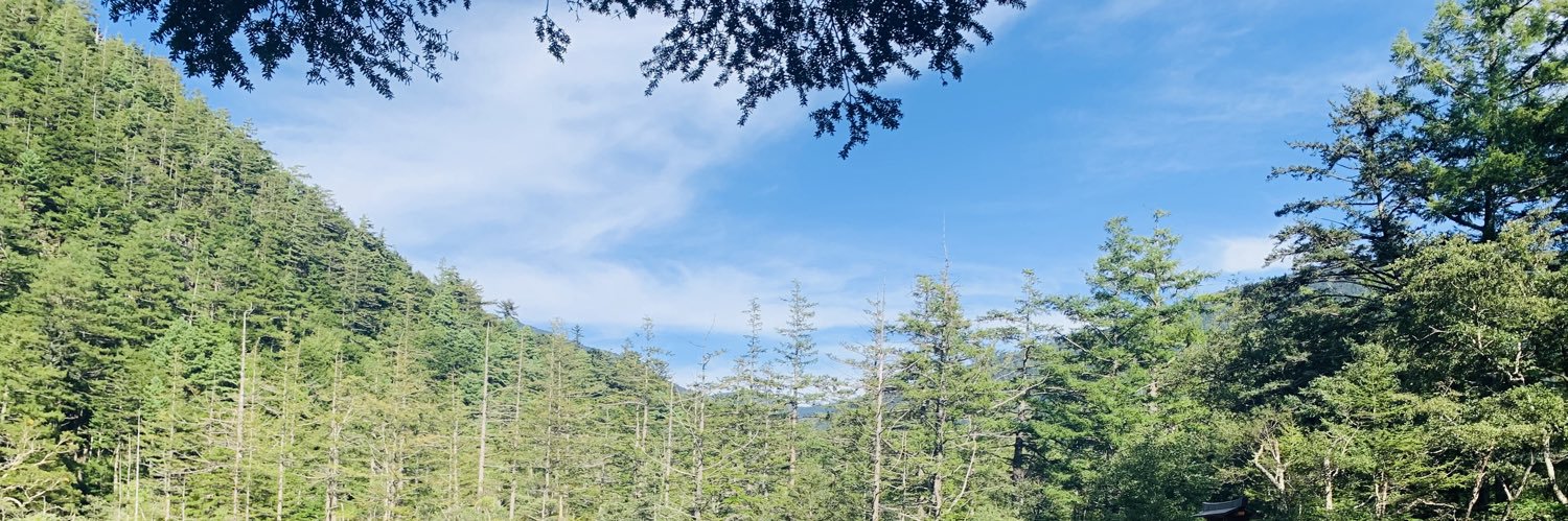 ⋆͛yσppie⋆͛しんご banner