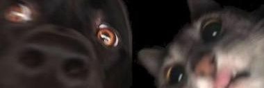 DarthZaumm's profile banner image
