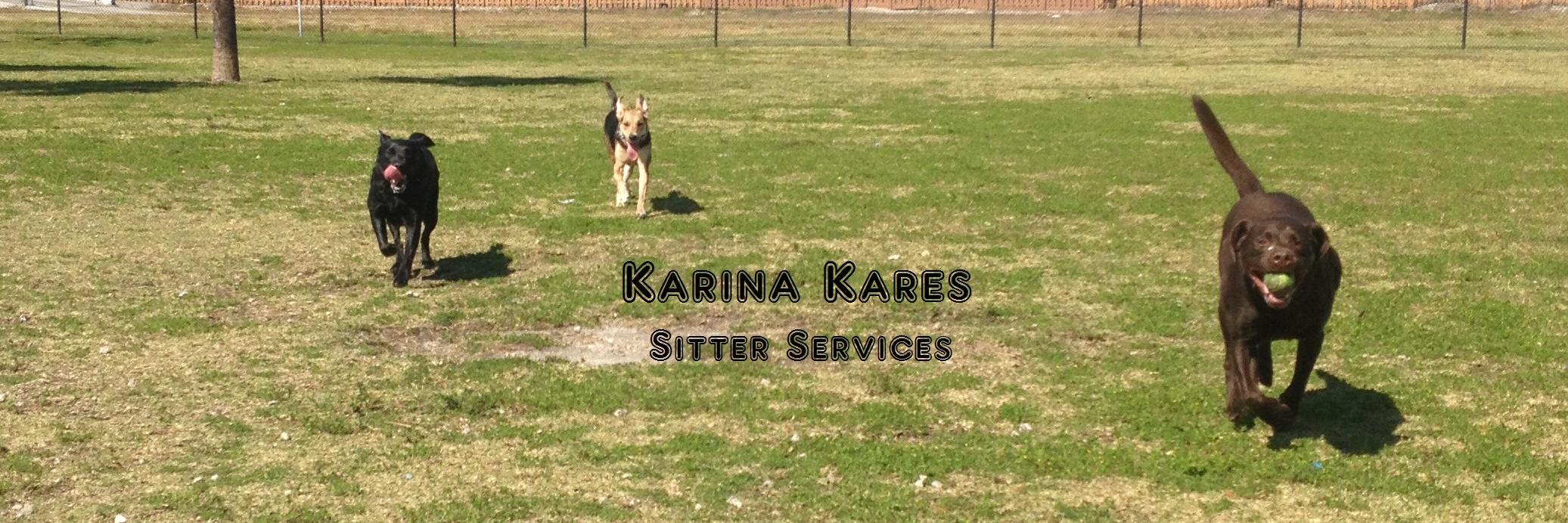 KarinaSitter's profile banner image