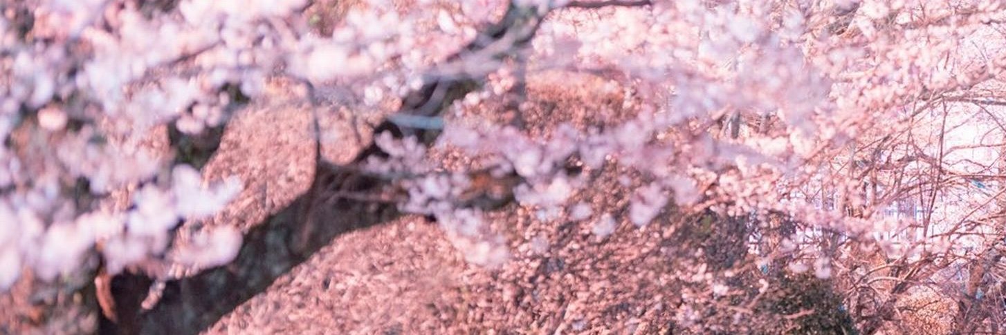 dekosuke8's profile banner image