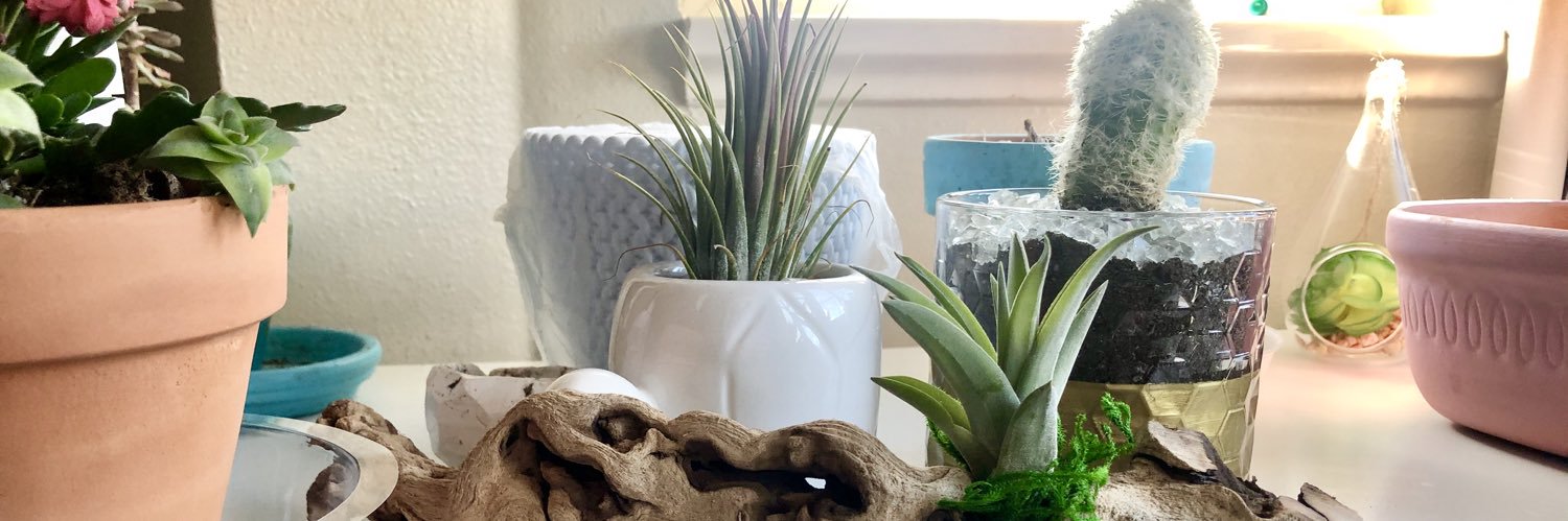 trashley_b's profile banner image