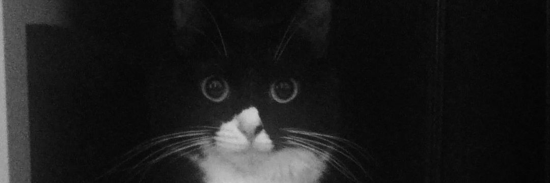 bintxng_'s profile banner image