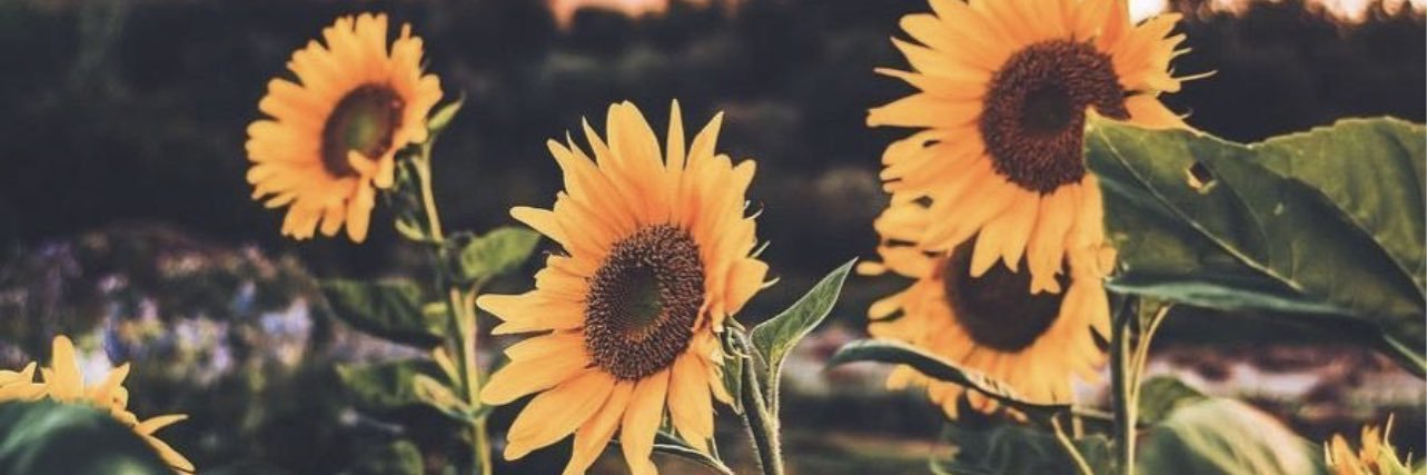 mir_0621's profile banner image