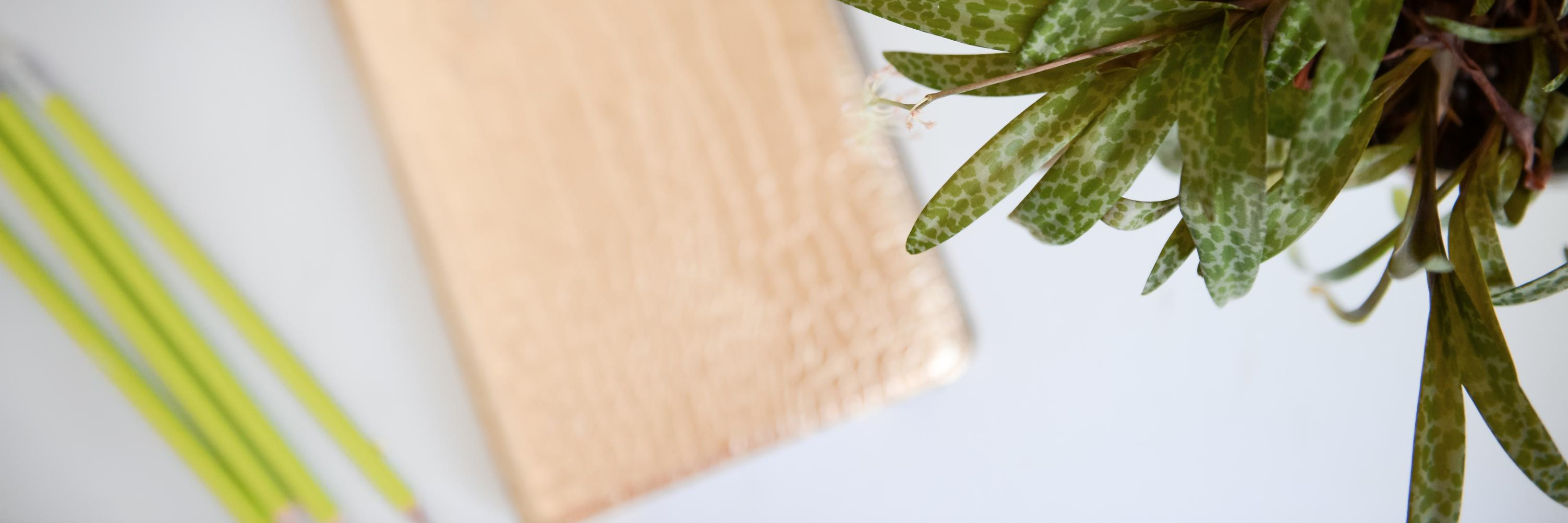 emyleesays's profile banner image