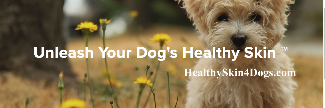 CanineSkin's profile banner image