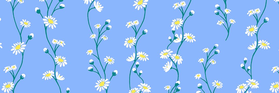 haileykoebrick's profile banner image