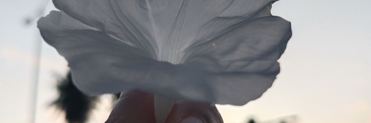 ThisnaSari24's profile banner image