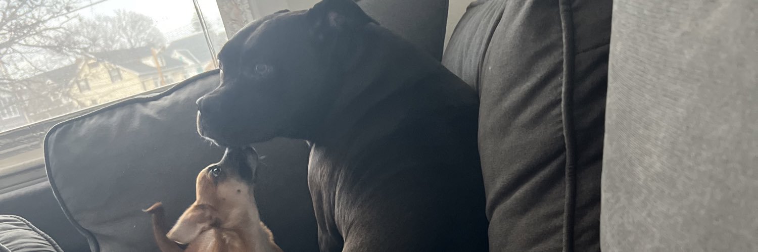 leyshh11's profile banner image