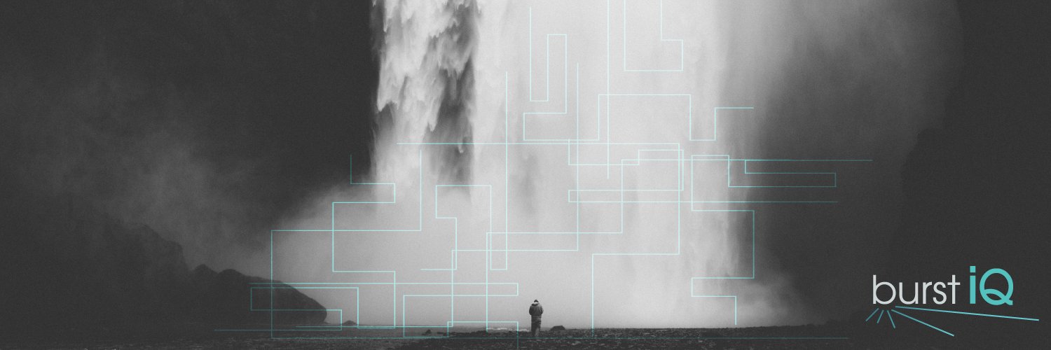 BurstIQ banner