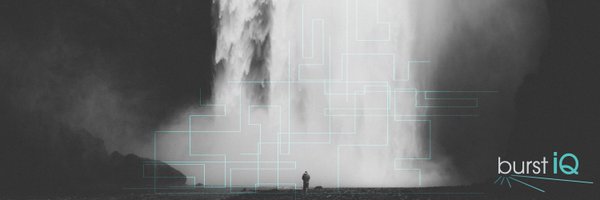 BurstIQ Profile Banner