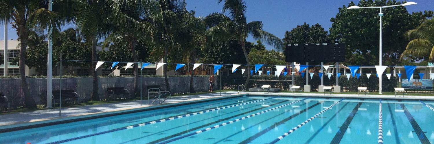 Angela George banner