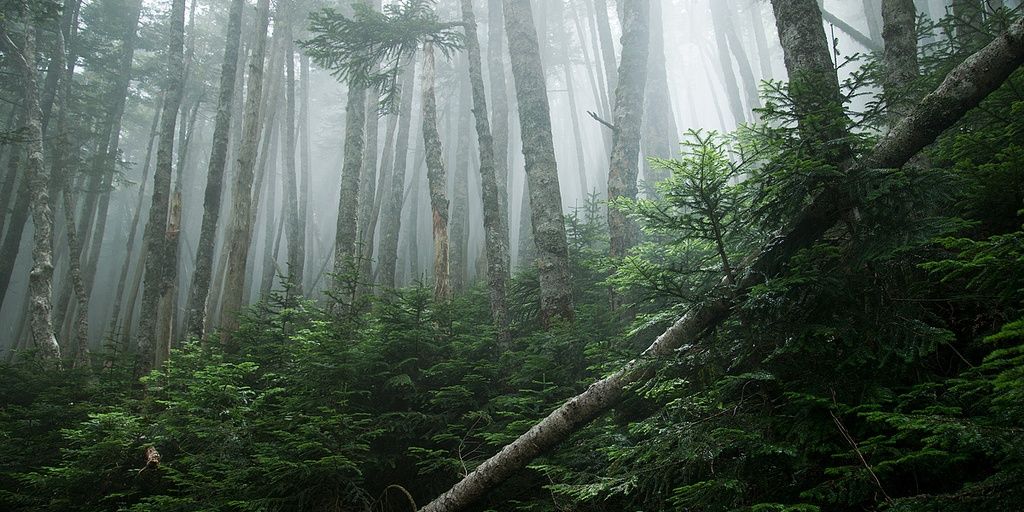coffeestorms's profile banner image