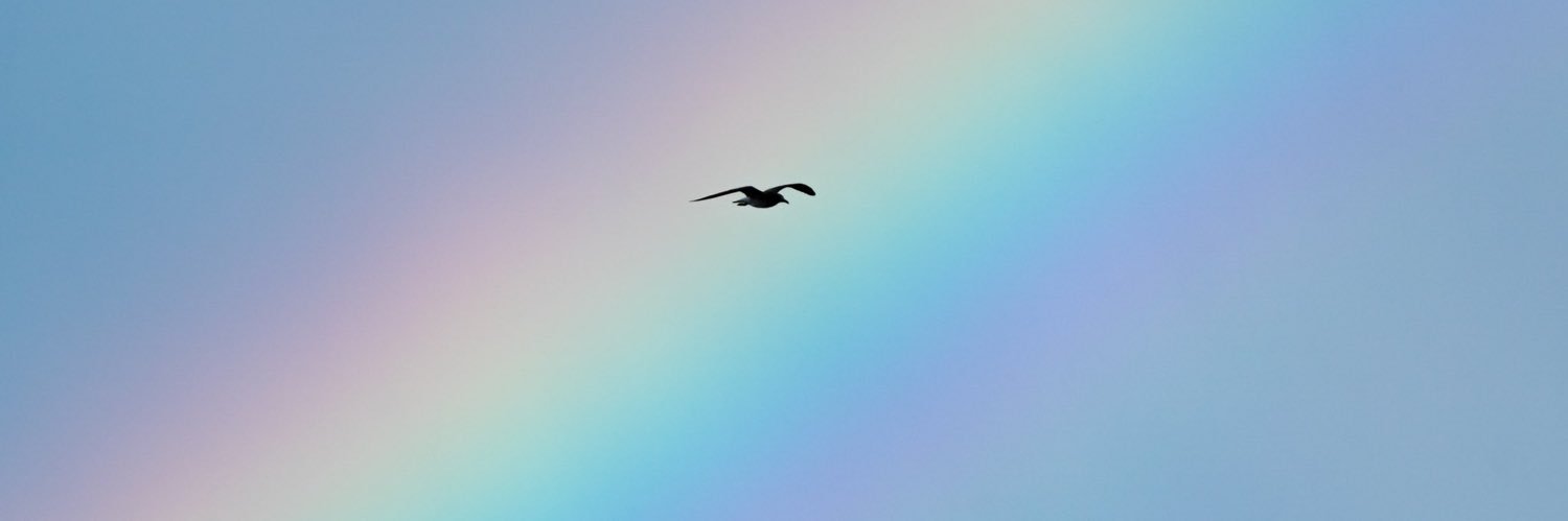 MSMA5k's profile banner image