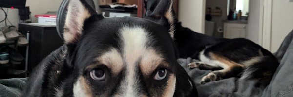 JDDigital1776 Profile Banner