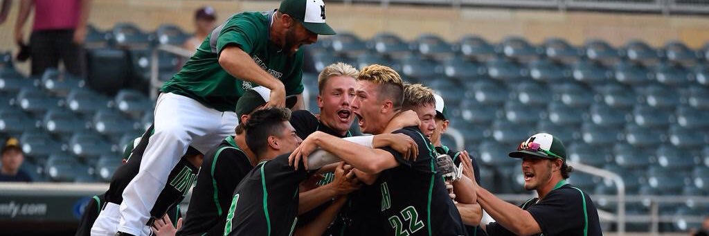 Irish Baseball banner
