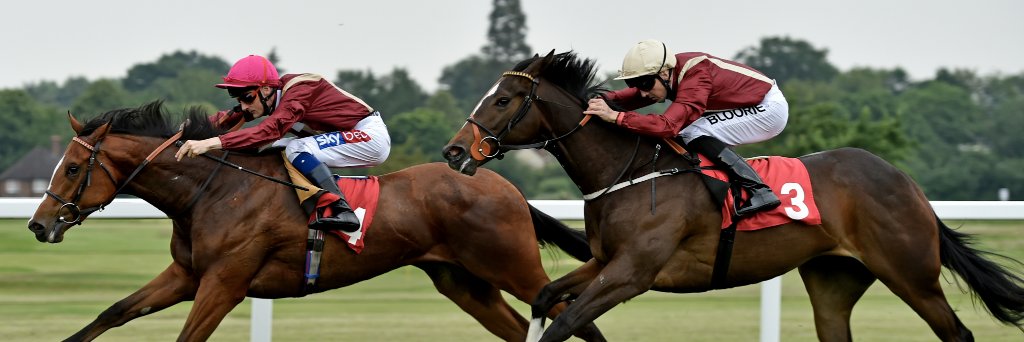 Hot To Trot Racing banner