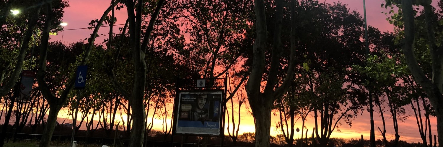 SoffiGonzalez's profile banner image