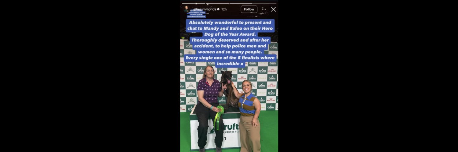 Chappers 🐾🐝 🙋‍♀️'s banner