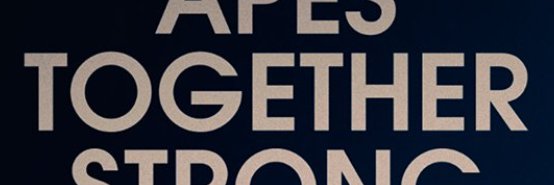 Matthew Scott, Esq., LLM banner