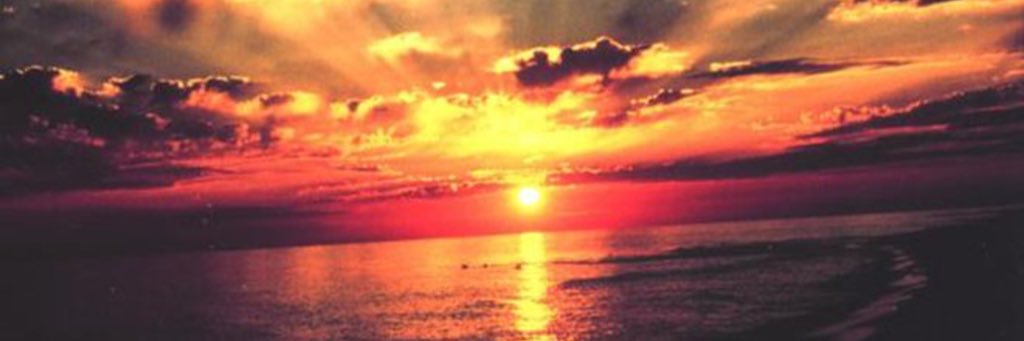 Jenny H banner