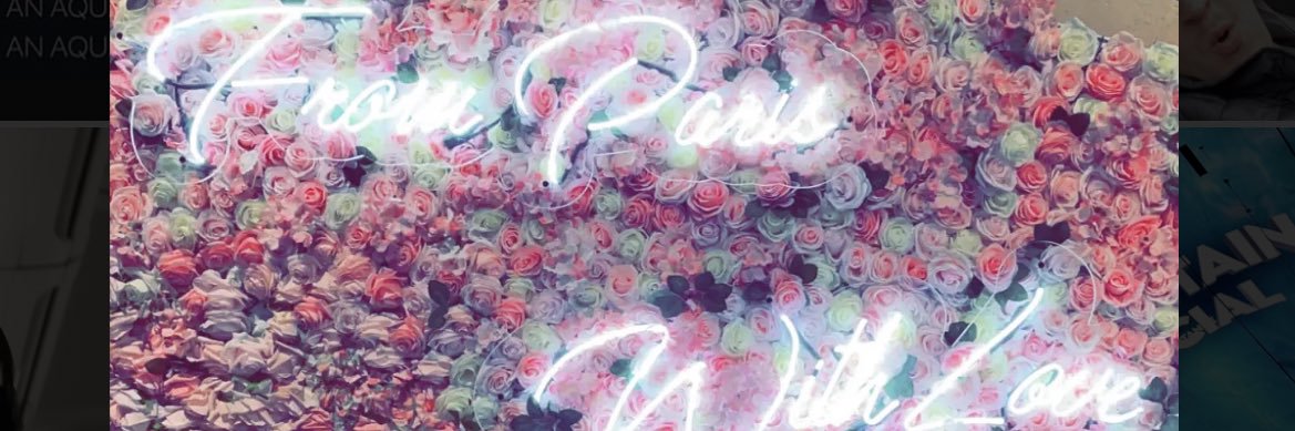 collinsears's profile banner image