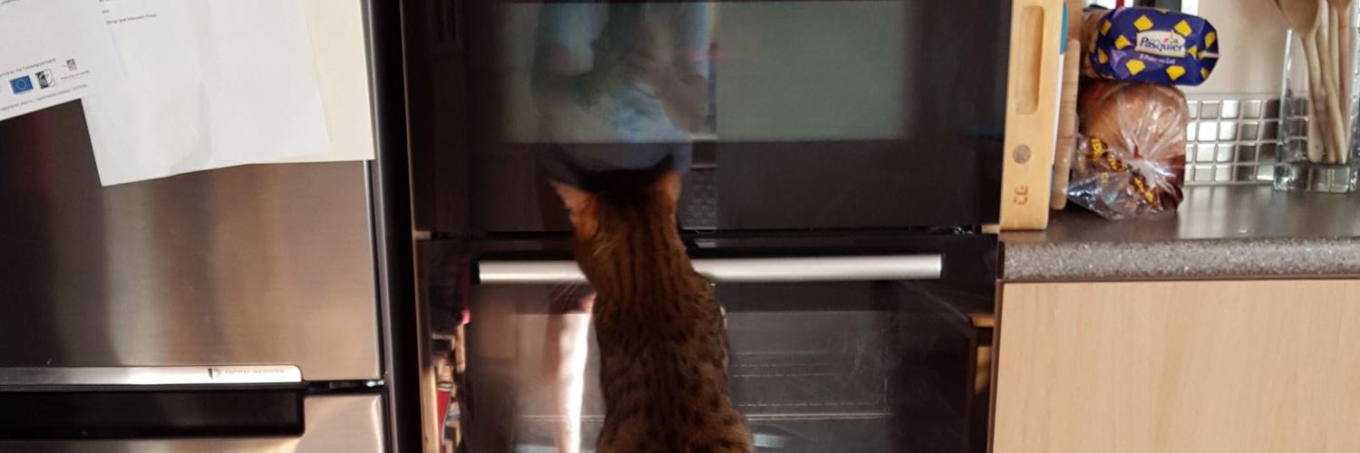 kewkitten's profile banner image