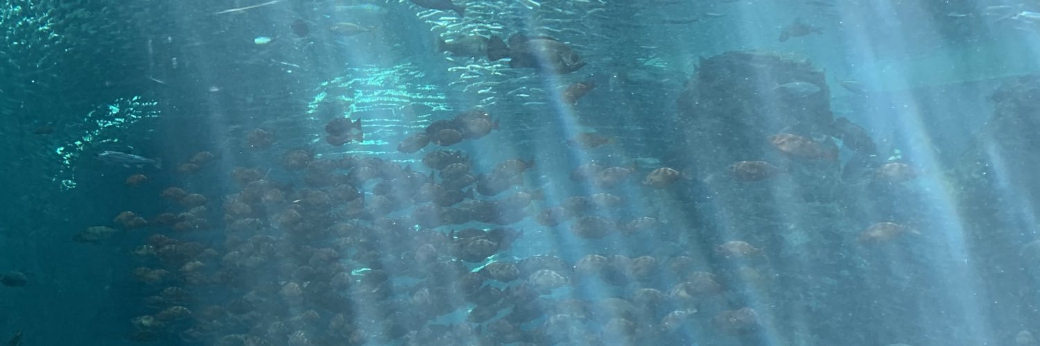 VulletForMy's profile banner image