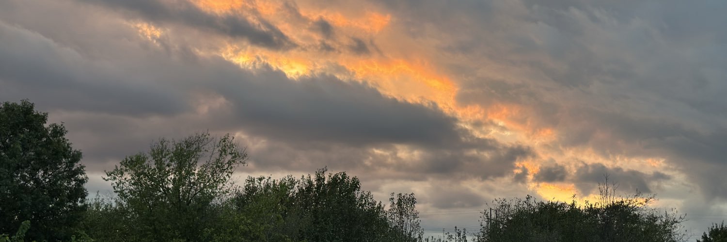 WellsBrenda's profile banner image
