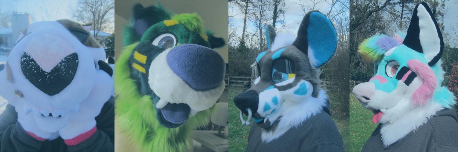 birdkinq's profile banner image