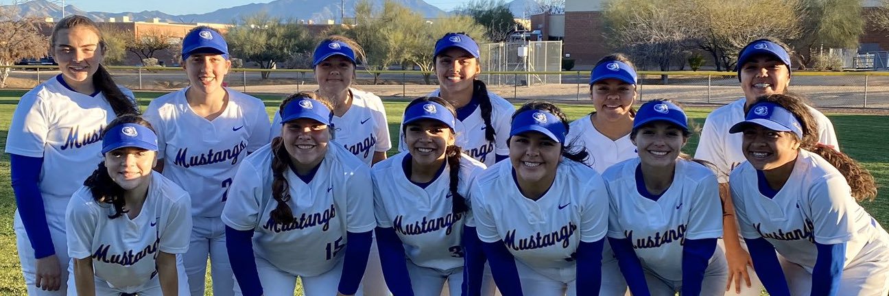 Sahuarita Softball banner
