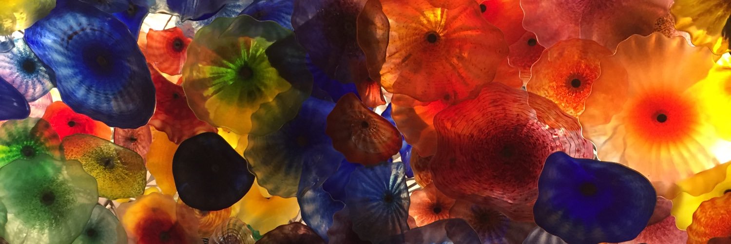 allieostrich's profile banner image