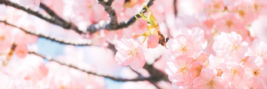 Viva_723's profile banner image