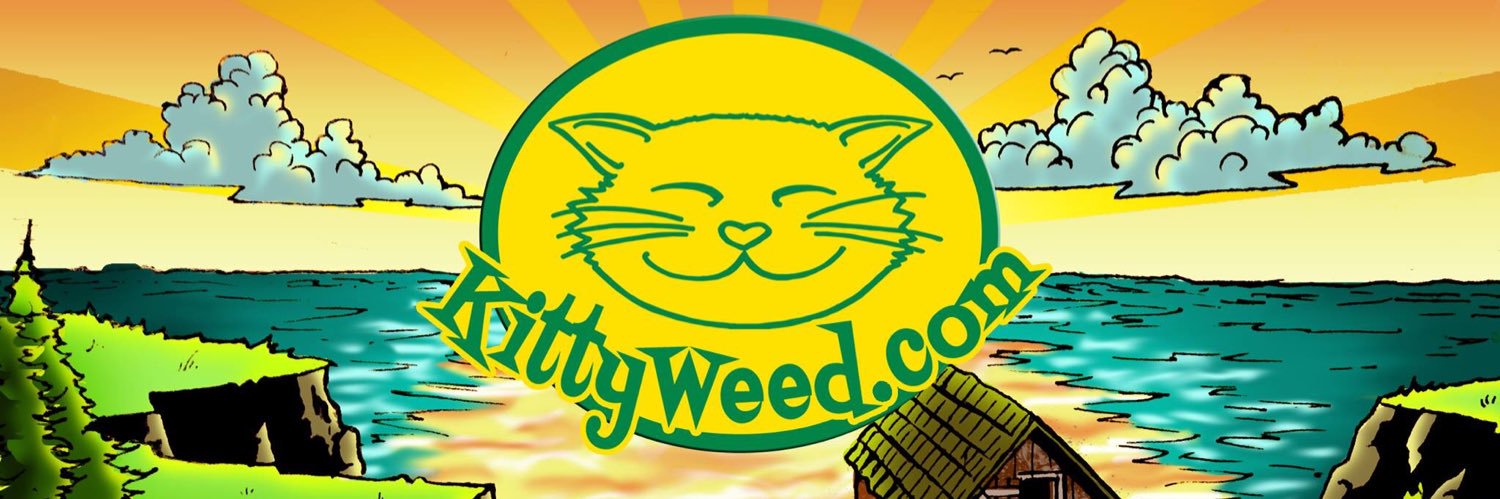 kittyweedcatnip's profile banner image