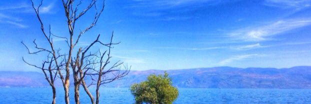 felister2's profile banner image