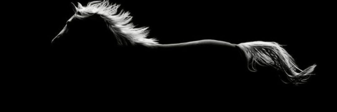 Kflowes's profile banner image