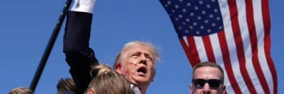 XRP-DIAMOND HAND banner