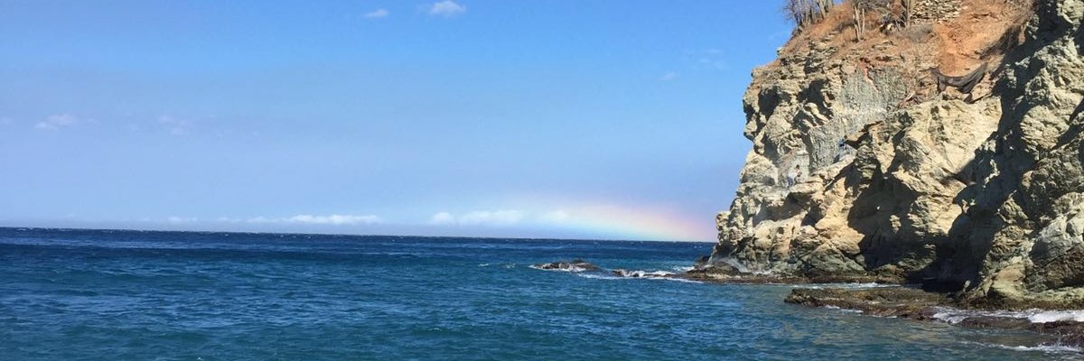 lfaroshophie's profile banner image