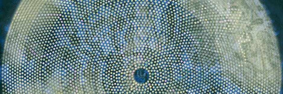 Theresa Leisgang banner