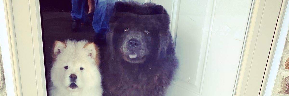 ToobaJM's profile banner image