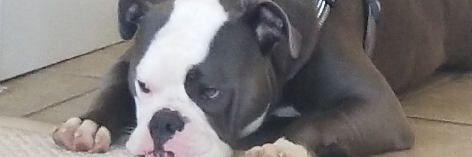 HeavyD_307's profile banner image