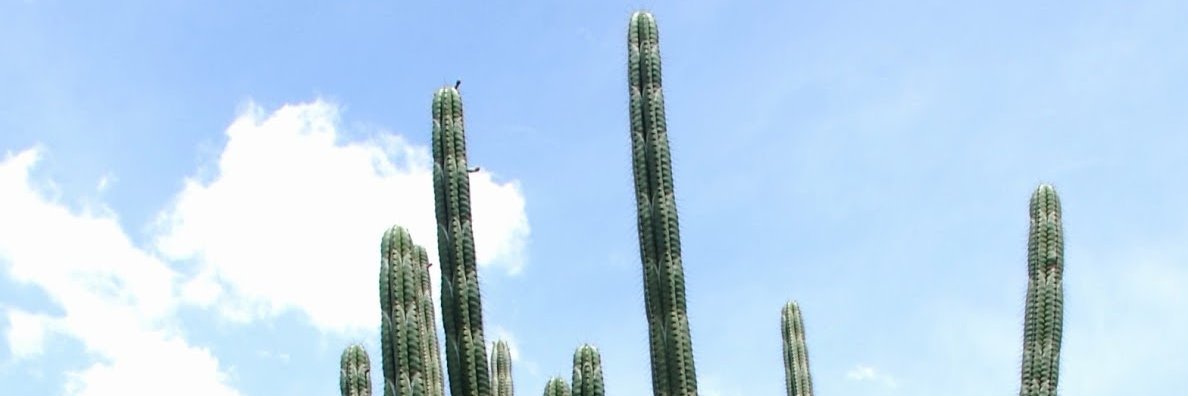 olgamh85's profile banner image