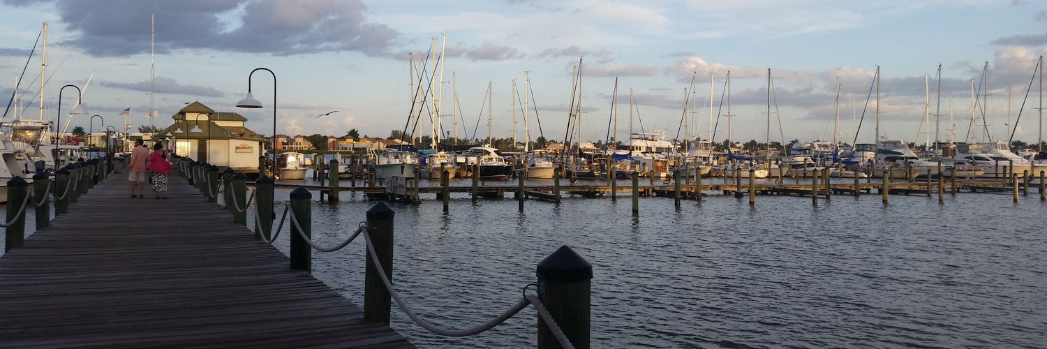 Bridget Spitale banner